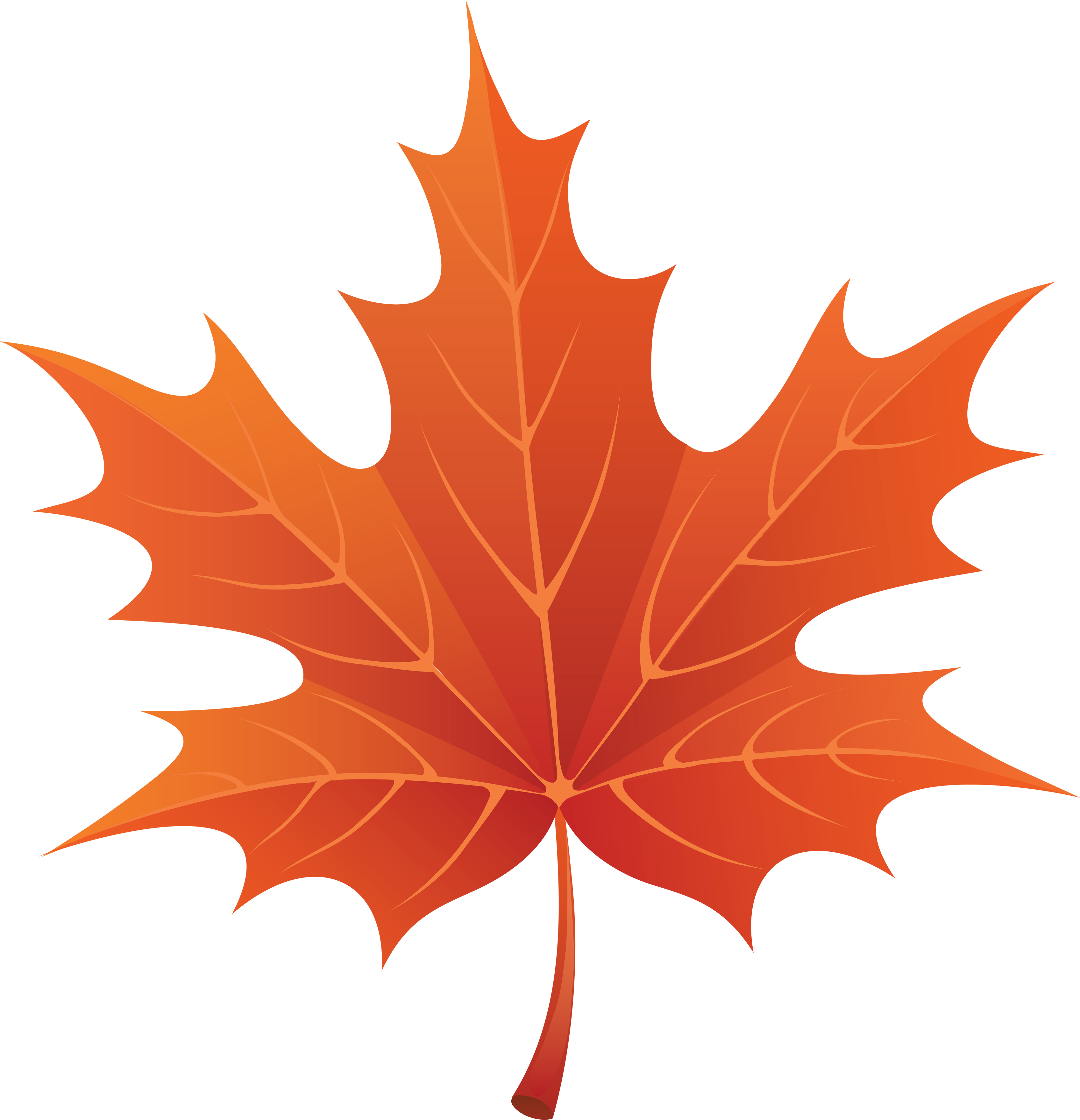 Clipart maple leaf.