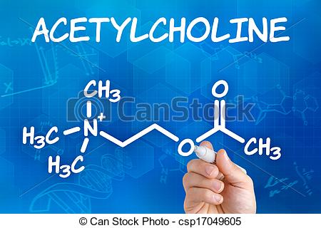 Acetylcholine Illustrations and Clip Art. 82 Acetylcholine royalty.