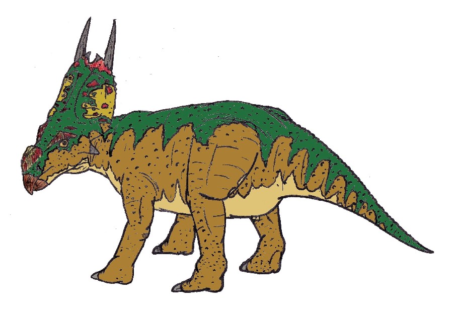Achelousaurus Pictures & Facts.