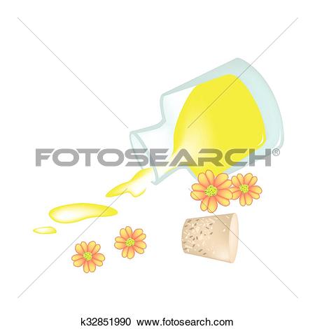 Clipart of Orange Yarrow or Achillea Millefolium with Essential.