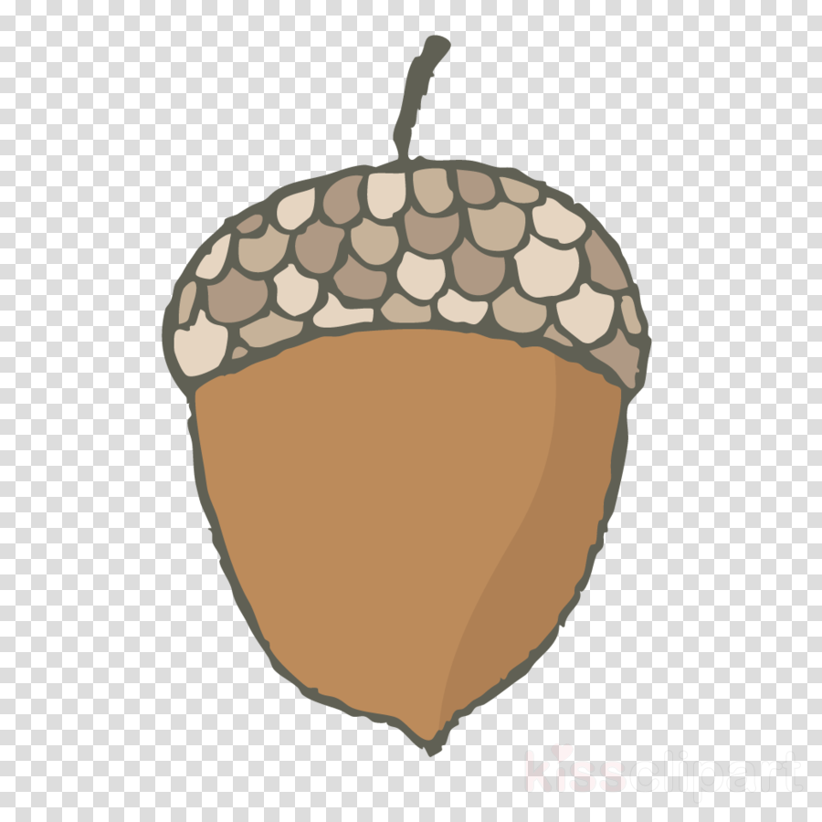 acorn leaf tree nut clip art clipart.