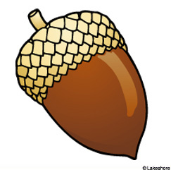 Acorn Clipart.