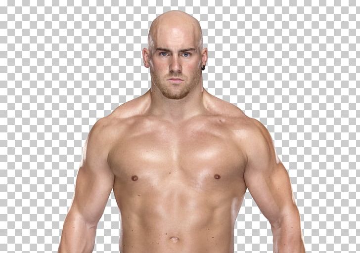 Fabian Aichner WWE NXT Professional Wrestler Male PNG.
