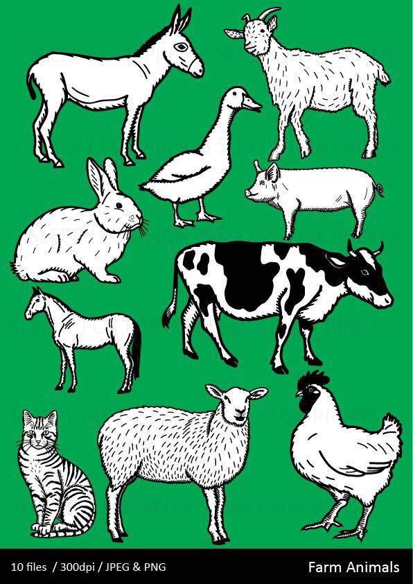Farm Animal Clipart, Clip Art, Cow, Sheep, Pig, Chicken.