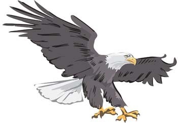 Clipart adler.