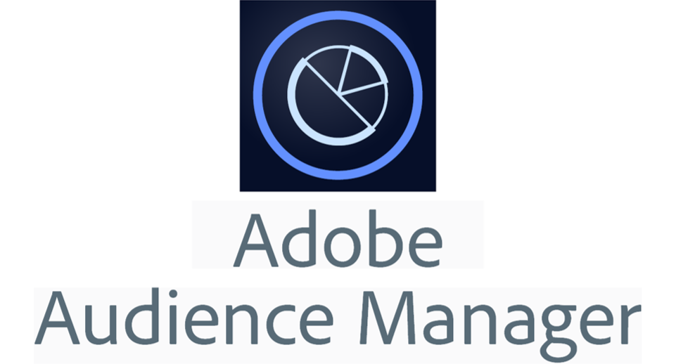 Adobe audience manager что это