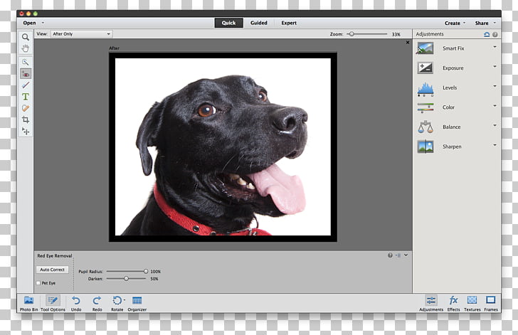 Adobe Photoshop Elements Tutorial, others PNG clipart.