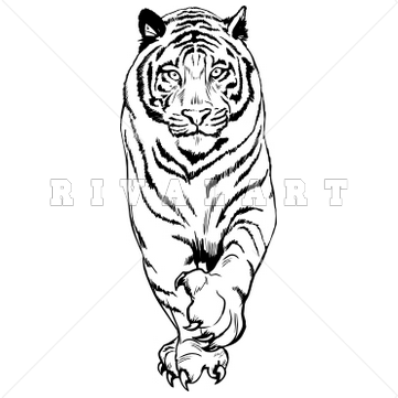 Pin by Rivalart.com on Tiger Clip Art.