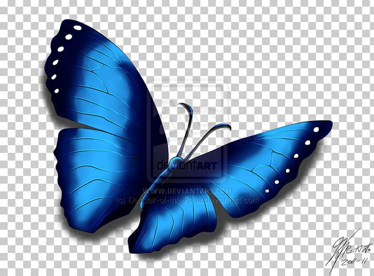 Butterfly Effect Portable Network Graphics Adobe Photoshop PNG.