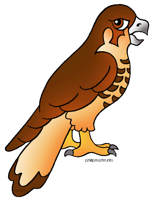 Adorable hawk clipart jpg clipart images gallery for free.