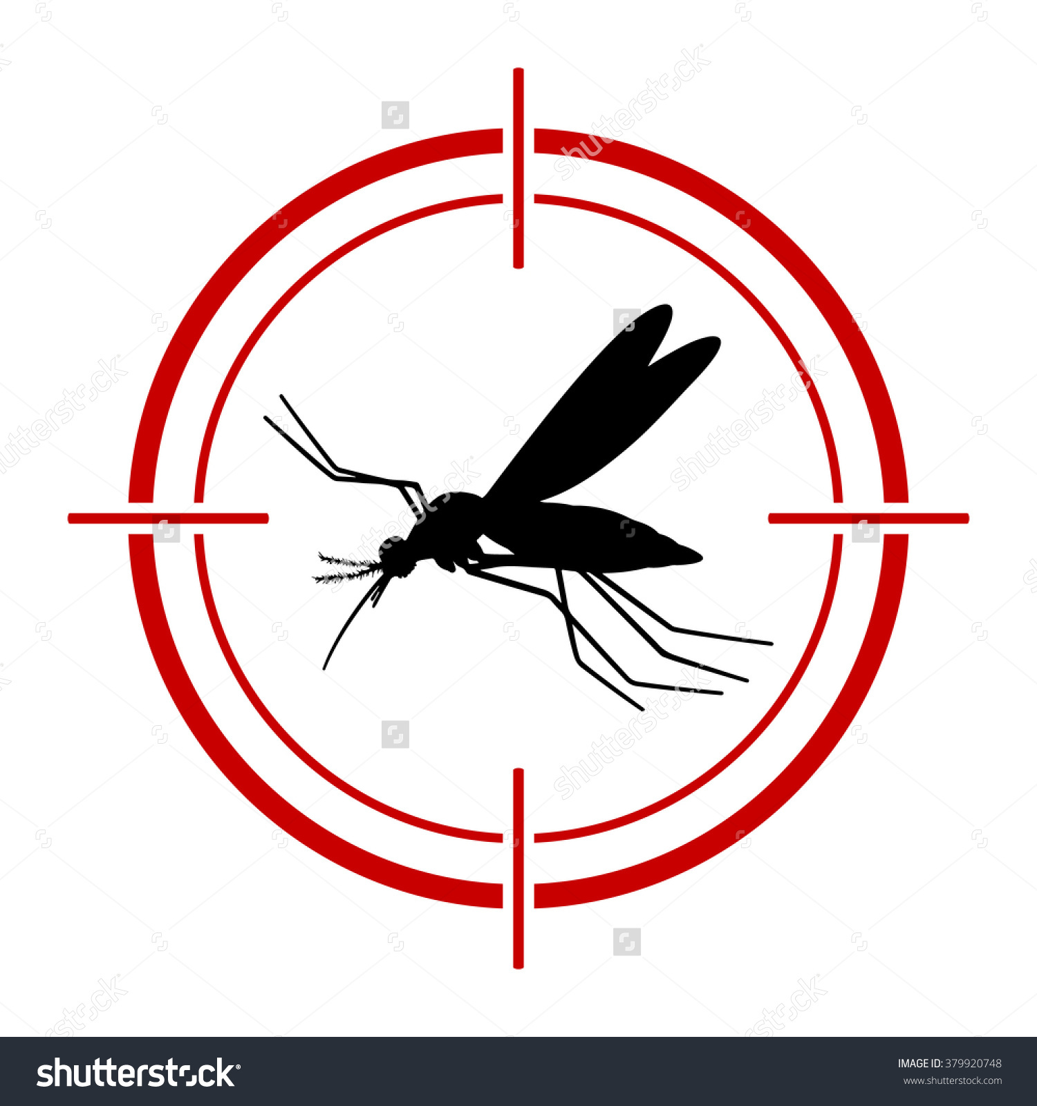 Aedes clipart.
