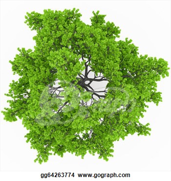 Tree Clipart Top View.