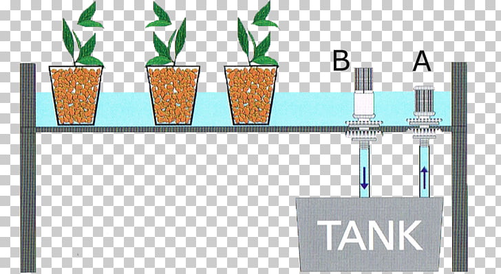 Hydroponics Ebb and flow Aeroponics Flood Aquaponics, others.