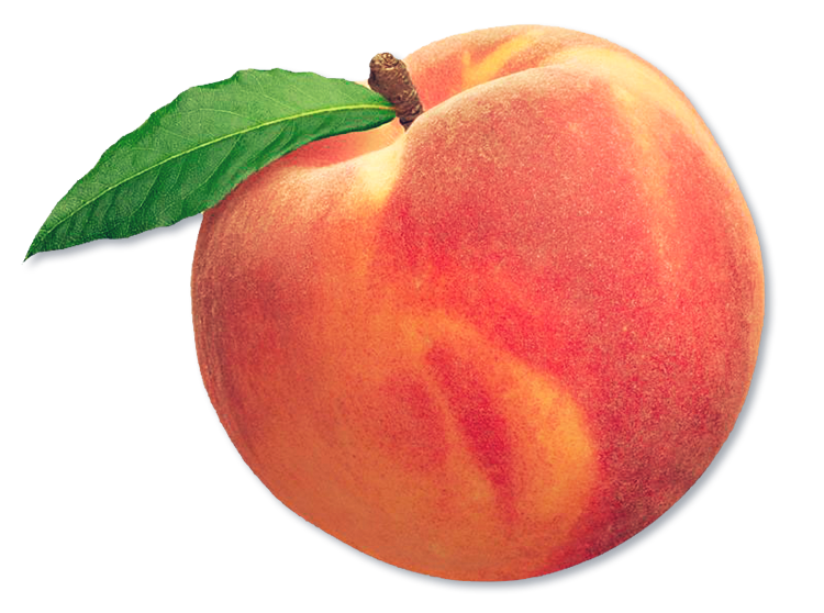 Peach clipart aesthetic, Picture #1851436 peach clipart.