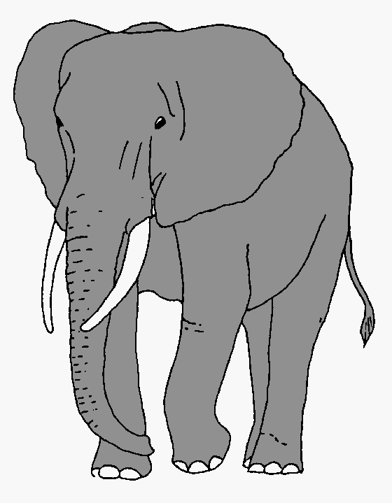 African bush elephant clipart.