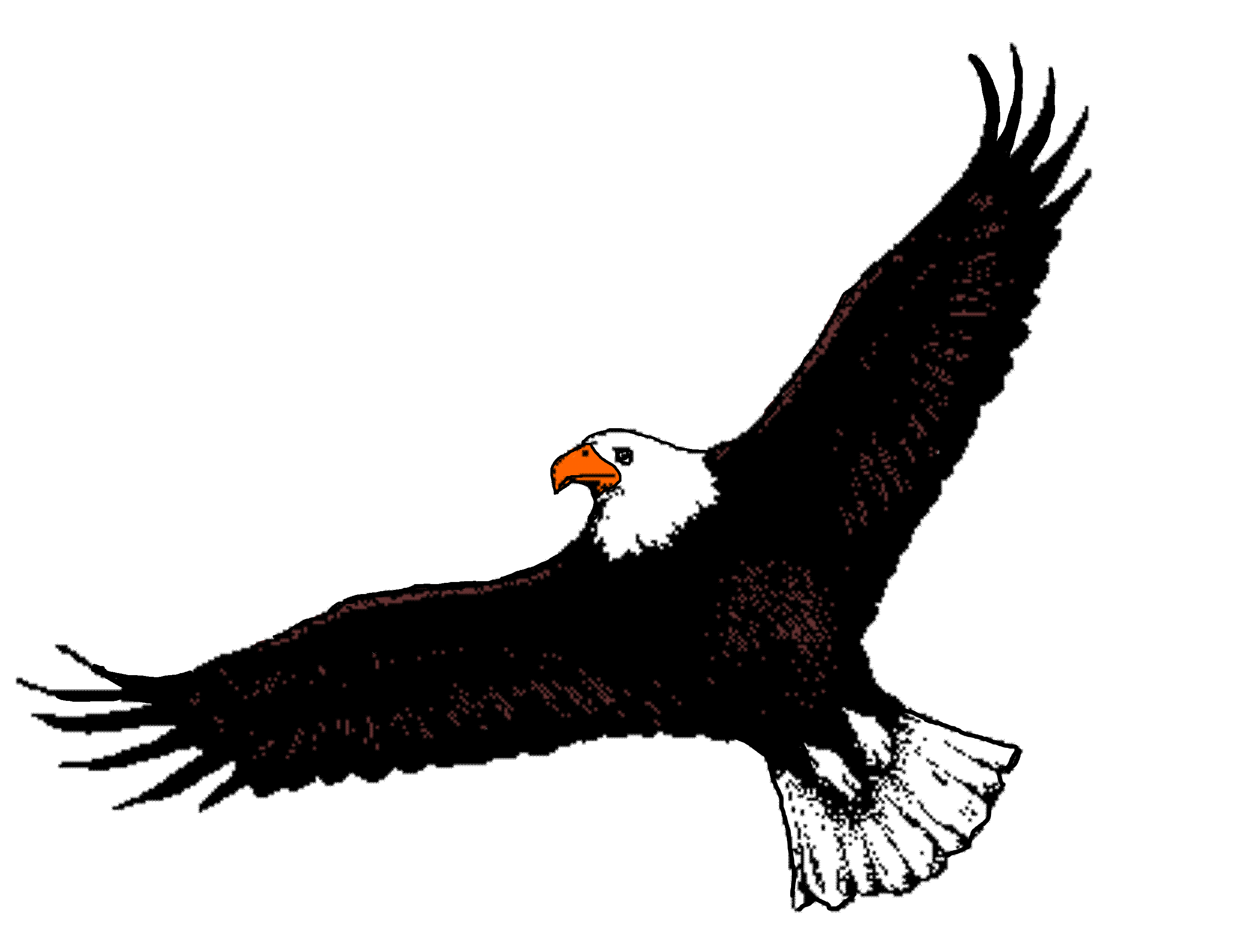 Free Eagle Flying Cliparts, Download Free Clip Art, Free.