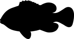 Fish Silhouette.