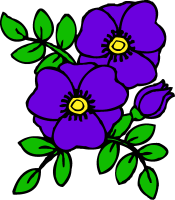 Free Cliparts African Violet, Download Free Clip Art, Free.