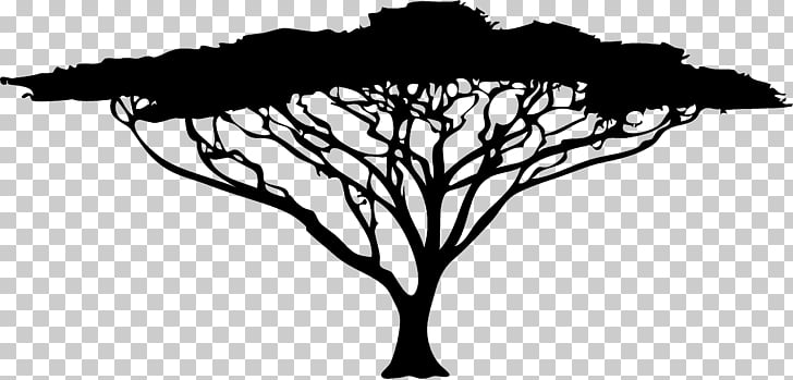 African Trees Wattles , african grasslands PNG clipart.