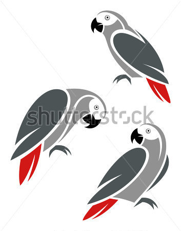 African grey parrot clipart.