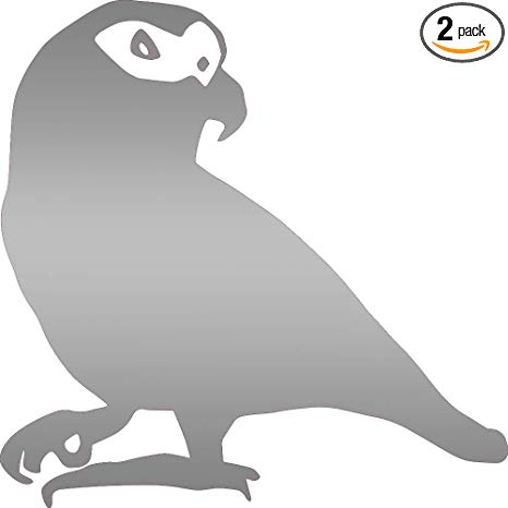 Amazon.com: ANGDEST Animal African Grey Parrot Wildlfie.