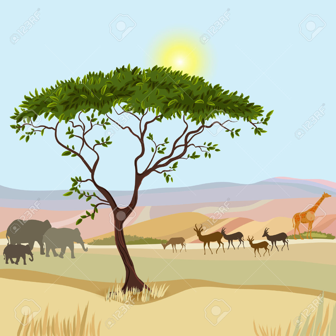 draw grassland animals how to savannah clipart African Clipground