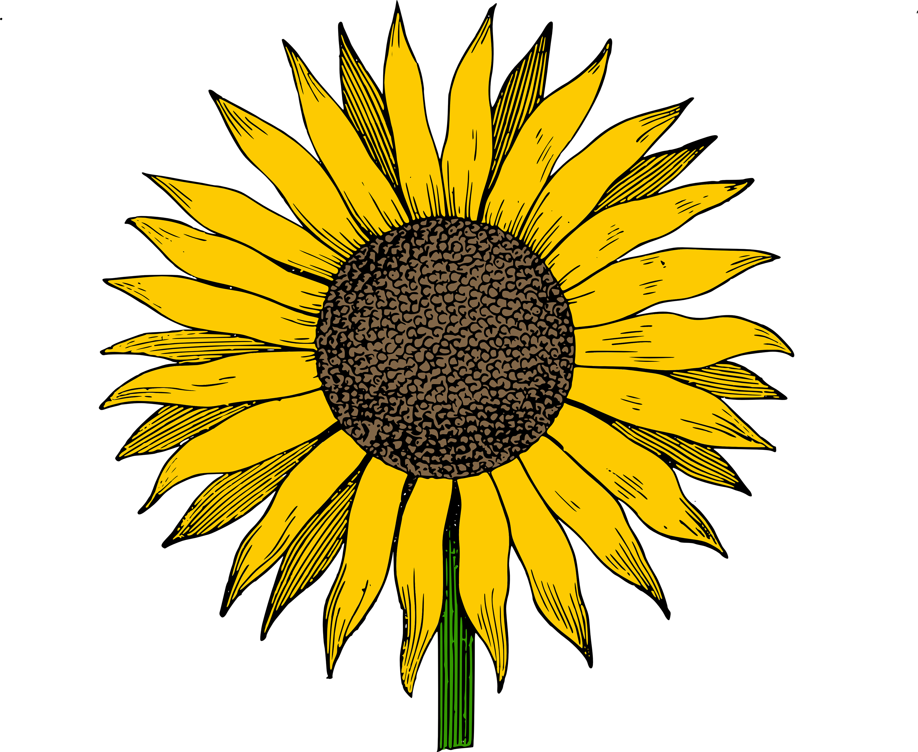 Free Sunflower Vector Black And White, Download Free Clip.