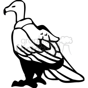 Black and white vulture clipart. Royalty.