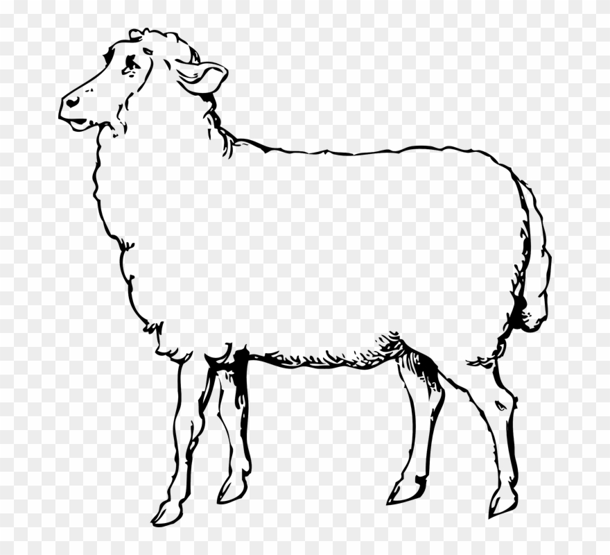 Clipart, Sheep Clipart Black And White Free Image On.