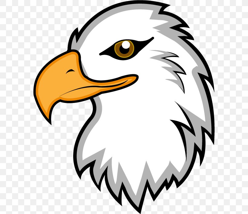 Bald Eagle Clip Art, PNG, 600x709px, Bald Eagle, Art.