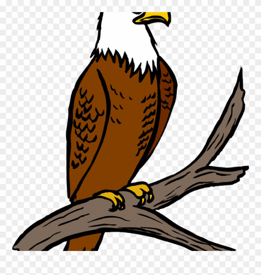 Free Eagle Clipart Eagle Feather Clipart At Getdrawings.