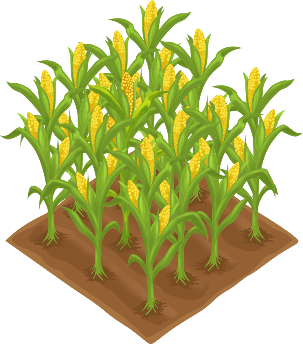 Farming clipart corn farmer, Farming corn farmer Transparent.