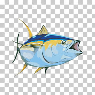 Yellowfin tuna Fishing Fish as food Poke, Ahi Tuna PNG.