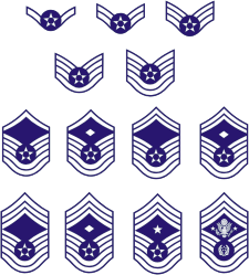 U.S. Air Force (USAF).