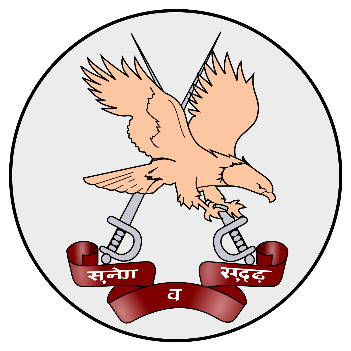 Army Aviation Corps (India).