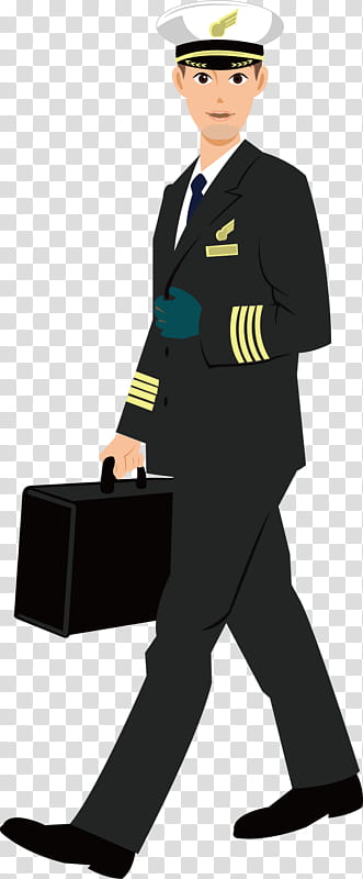 Airplane, Aircraft Pilot, Pilot In Command, Flight Attendant.
