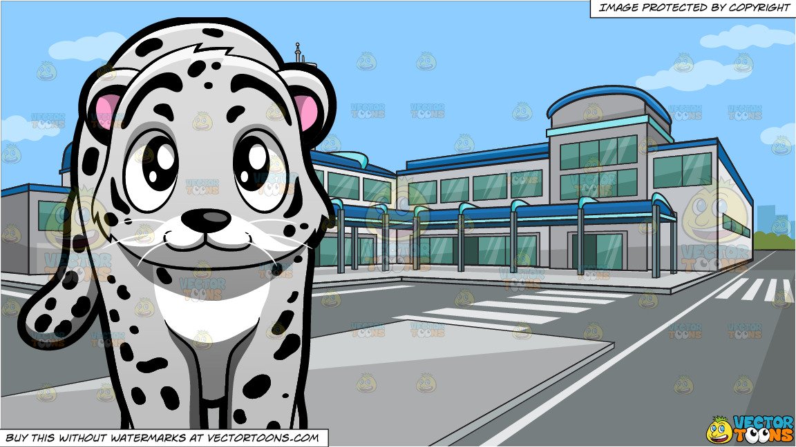 A Snow Leopard and Outside An Airport Terminal Background.