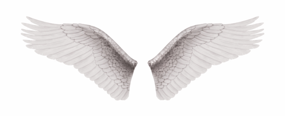 alas de angel png 20 free Cliparts | Download images on Clipground 2024