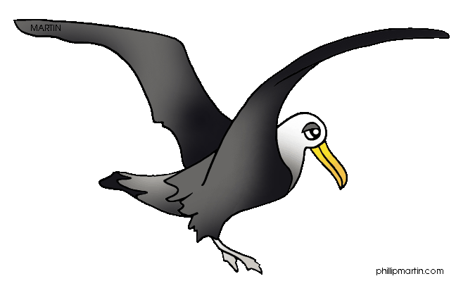 Free Galapagos Animals Clip Art by Phillip Martin, Albatross.