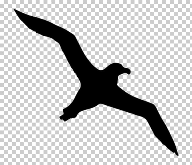 Albatross Silhouette, bird outline artwork PNG clipart.