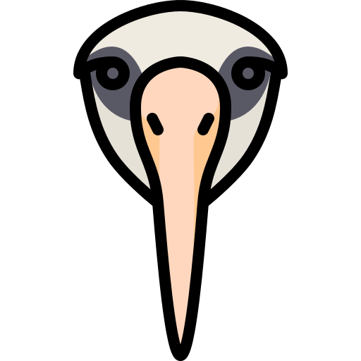 Albatross PNG Icon (2).