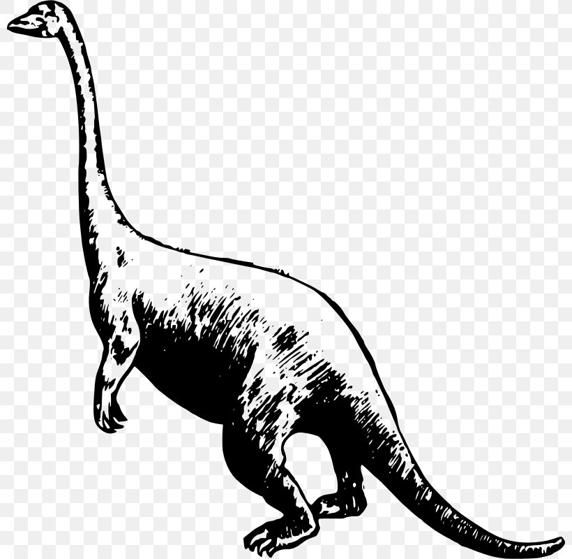 Tyrannosaurus Dinosaur Apatosaurus Drawing Clip Art, PNG.