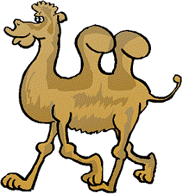 Alice the Camel.