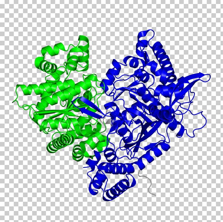 NiFe Hydrogenase Enzyme Hydrogen Production Alkaline.