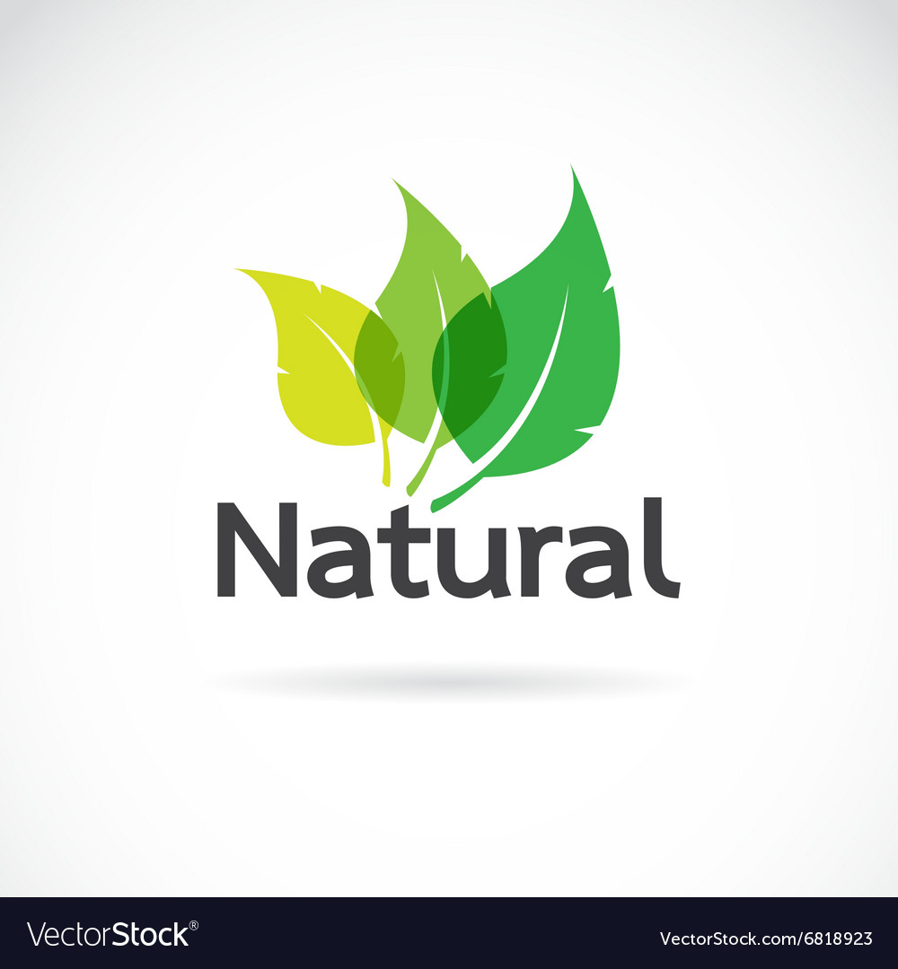 Natural logo design template.