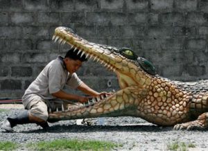 Crocodile and the Plover Bird.