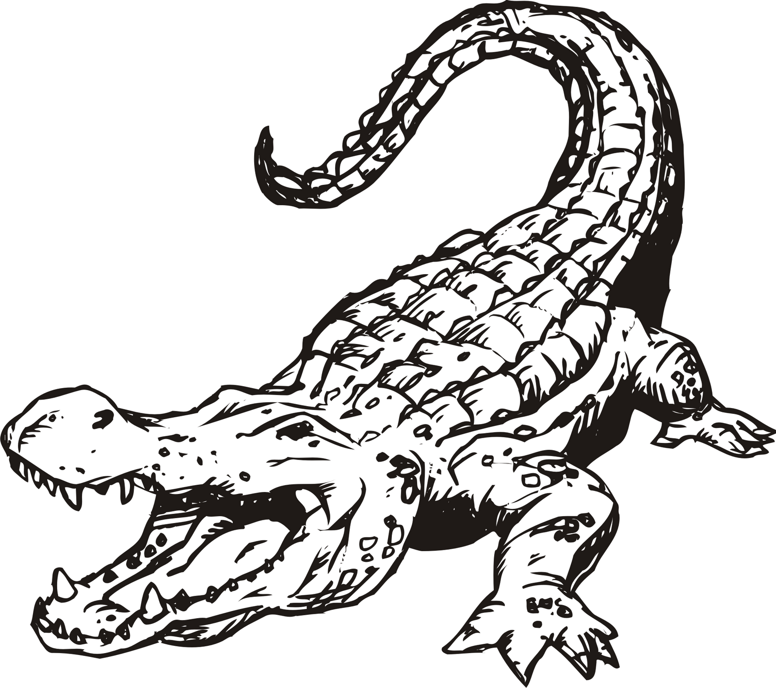 Alligator Crocodile Black and white Clip art.