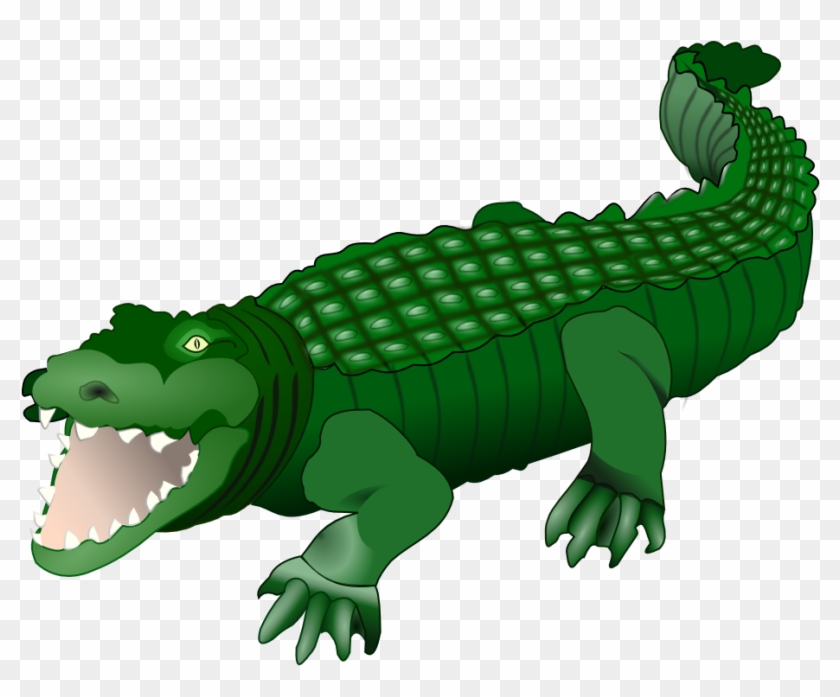 Alligator clipart caiman, Alligator caiman Transparent FREE.