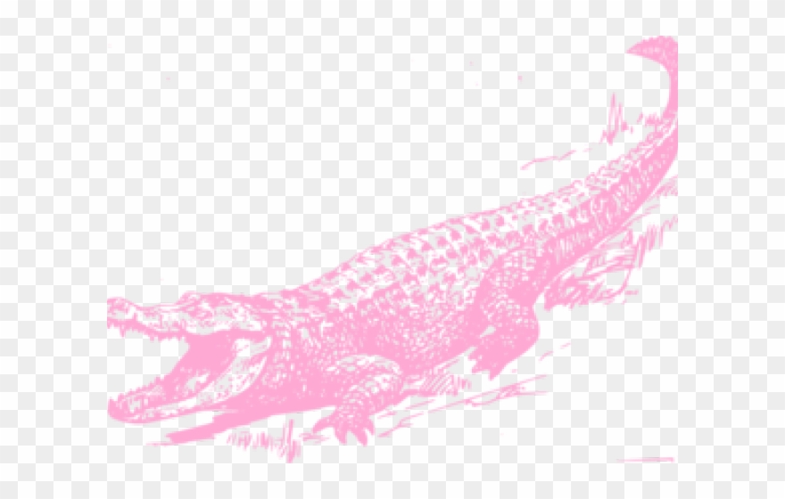 Alligator Clipart Name.