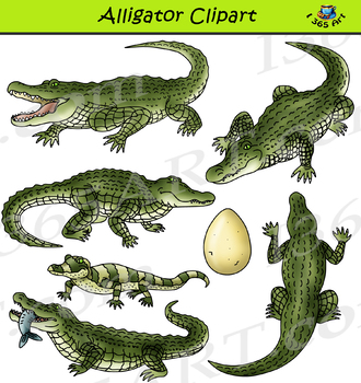 Alligator Clipart.